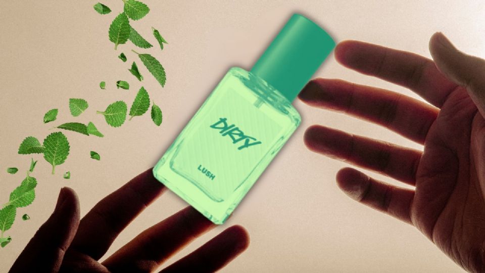 El perfume de hombre para oler fresco y limpio