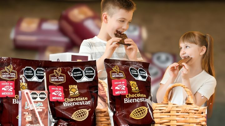 Chocolate del Bienestar: Precios, tipos y dónde comprarlo en México