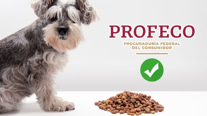 No es Pedigree: Esta es la mejor marca de croquetas para perro según Profeco