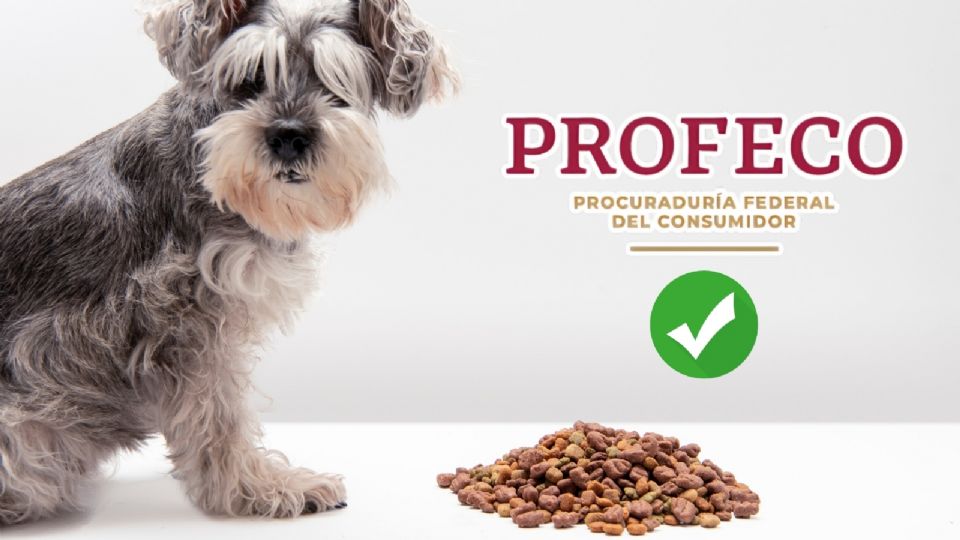 La mejor marca de croquetas para perros que recomienda Profeco