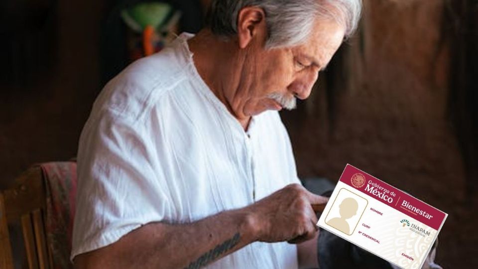 La pérdida de la tarjeta INAPAM no debe ser un obstáculo para seguir disfrutando de los beneficios que ofrece este programa