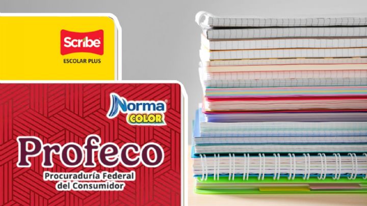 ¿Libreta Norma o Scribe? Profeco revela el mejor cuaderno para el regreso a clases 2025