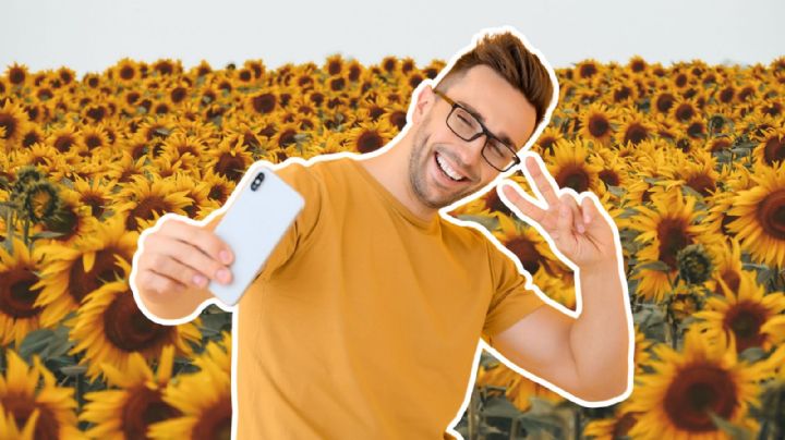 Festival Entre Girasoles 2025: Disfruta de un evento en medio de la naturaleza por solo 150 pesos