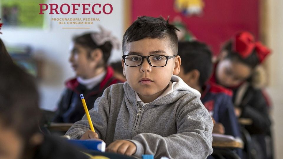 Este pegamento blanco está avalado por Profeco como el más económico y de buena calidad