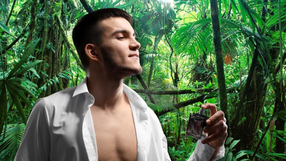 Aroma único nacido en la selva chiapaneca