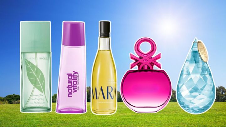 5 perfumes frescos y económicos para el verano: aromas cítricos y florales irresistibles