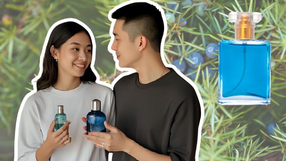 Estos son los mejores perfumes con bayas de enebro