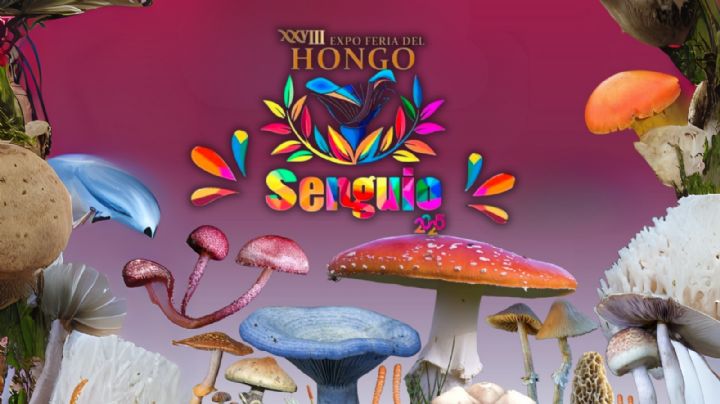 Expo Feria del Hongo 2025: Fecha, hora y actividades del evento