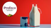 Foto ilustrativa de la nota titulada: La desconocida leche mexicana que cuesta menos de 20 pesos y tiene buena calidad, según Profeco