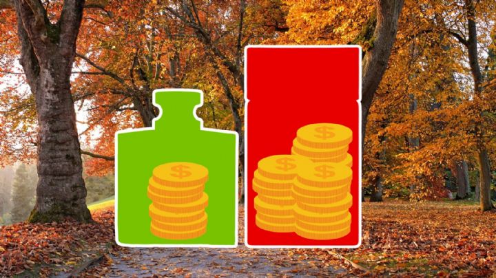 Del más barato al más caro: 5 perfumes que harán que huelas rico todo el otoño