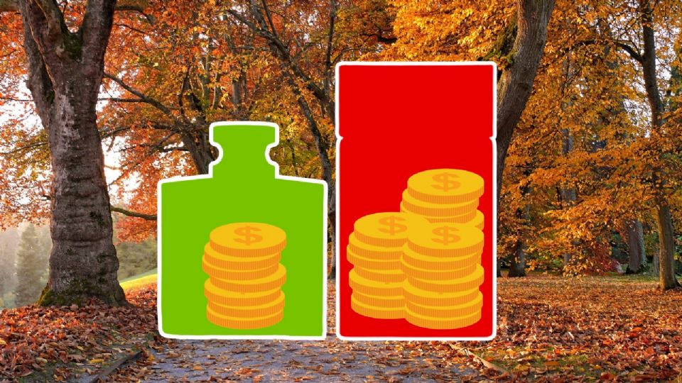 Descubre los 5 perfumes para hombre ideales para este otoño 2025.