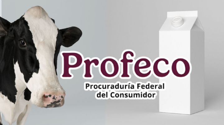 La leche que sí es leche: Profeco elige la marca con más proteína