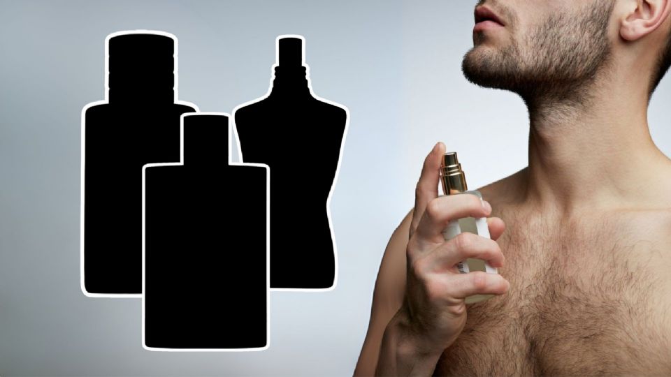 Perfumes de hombre que combinan calidad, frescura y larga duración.