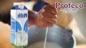 Foto ilustrativa de la nota titulada: La leche económica que SÍ es leche de vaca y que recomienda Profeco por sus vitaminas