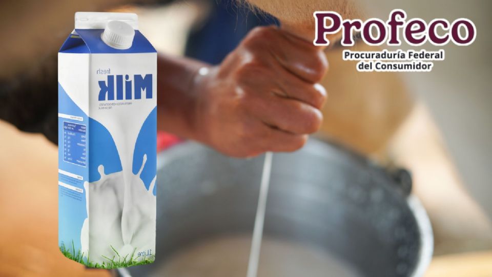 Profeco revela cuál es la mejor leche de vaca.