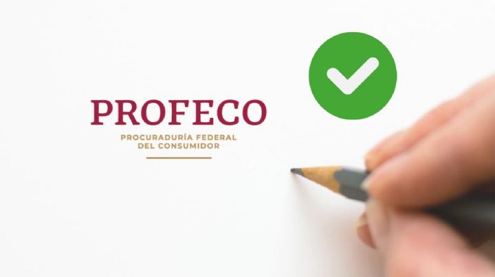 Profeco: estos son los mejores lápices para volver a clases, según la Revista del Consumidor