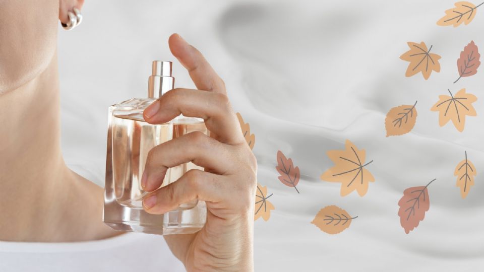 ¿Qué son los perfumes lechosos y cuáles son la mejores opciones?