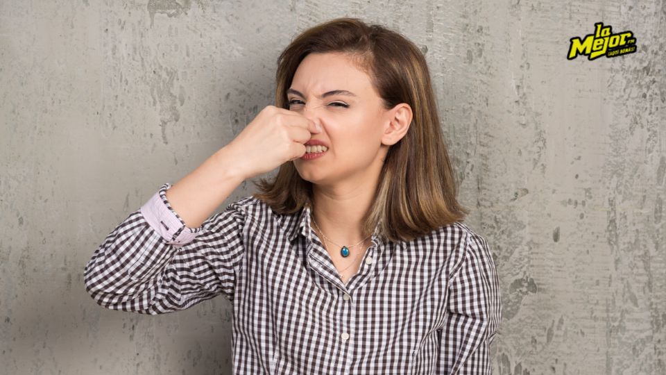 Descubre los perfumes que te ayudarán a mantener un aroma fresco y agradable incluso en días lluviosos.