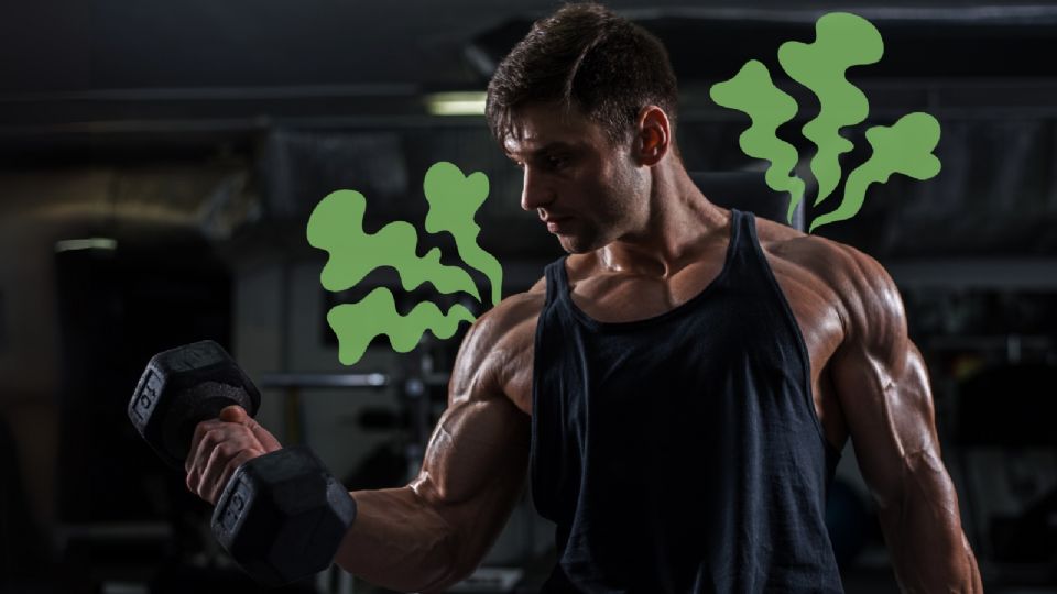 Perfumes de hombre para evitar el mal olor en el gimnasio