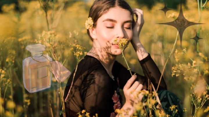 ¿Huele a limpio? Este es el mejor perfume cálido y duradero