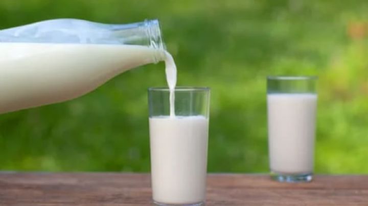 ¿Es mejor la leche entera o la baja en grasa, cuál ayuda a cuidar tu corazón?