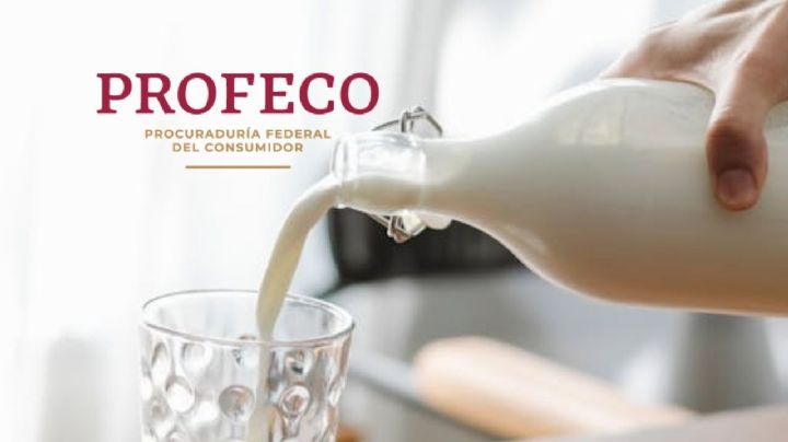 ¿Lala o Alpura? Esta es la leche deslactosada más barata y con más proteínas, según Profeco