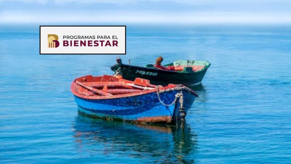 El programa Bienpesca no solo ofrece un respiro financiero inmediato, sino que planta las semillas para un crecimiento sostenido