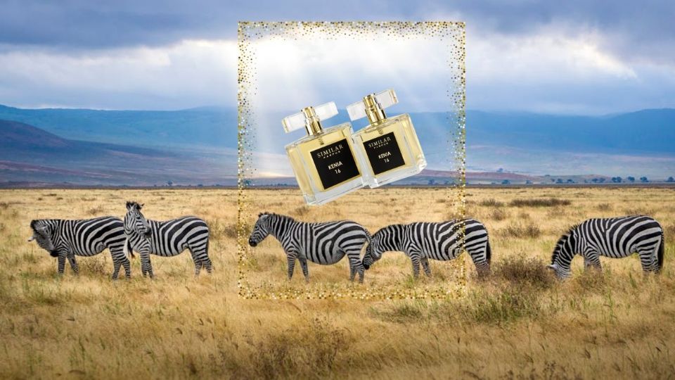 Elegir un perfume con inspiración africana depende de la ocasión y la temporada