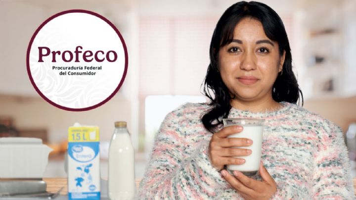 Estas son las mejores marcas de leche porque cumplen con sus estándares de calidad, según Profeco 2025