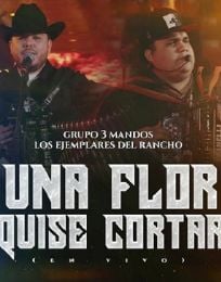 Foto descriptiva de: El desamor llegó con “Una flor quise cortar”