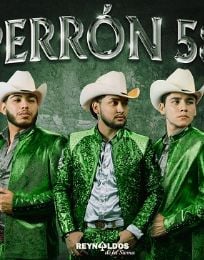 Foto descriptiva de: Reynaldos de la Sierra nos presentan un álbum de covers