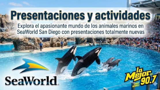 ¡Nuevas actividades en SeaWorld San Diego!